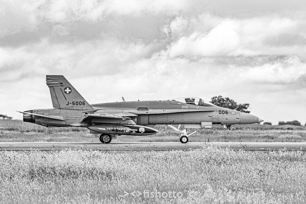 NTM21 Nato Tiger Meet B&W — foto 23