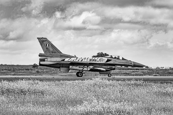 NTM21 Nato Tiger Meet B&W — foto 24