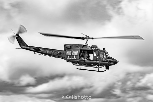 NTM21 Nato Tiger Meet B&W — foto 25
