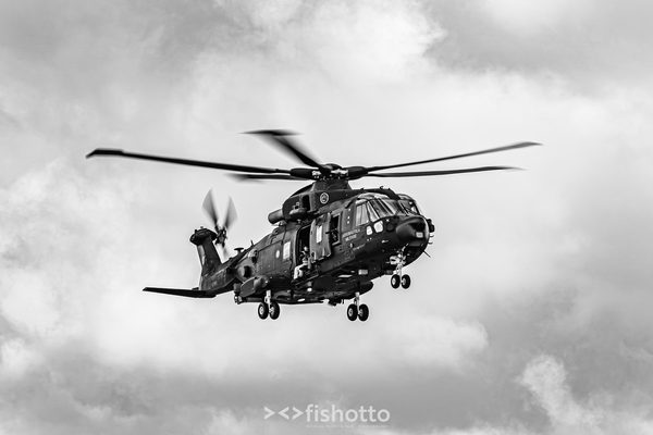 NTM21 Nato Tiger Meet B&W — foto 26