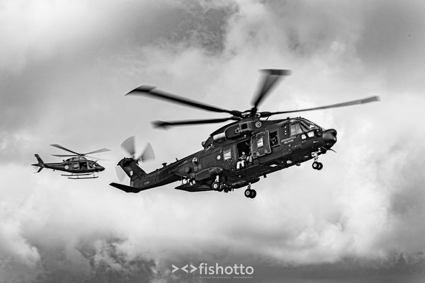 NTM21 Nato Tiger Meet B&W — foto 27