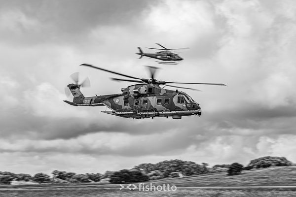 NTM21 Nato Tiger Meet B&W — foto 28