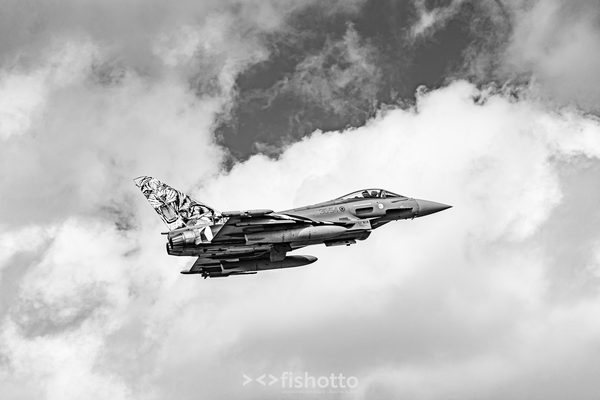 NTM21 Nato Tiger Meet B&W — foto 29