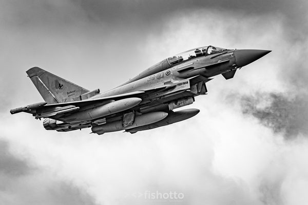 NTM21 Nato Tiger Meet B&W — foto 3