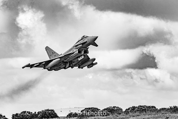 NTM21 Nato Tiger Meet B&W — foto 30