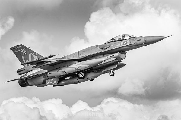 NTM21 Nato Tiger Meet B&W — foto 31