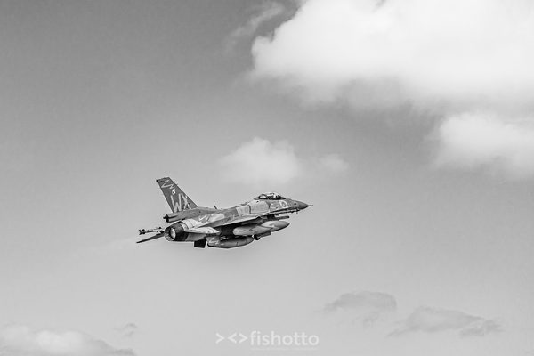 NTM21 Nato Tiger Meet B&W — foto 32