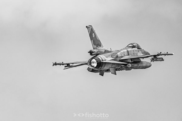 NTM21 Nato Tiger Meet B&W — foto 33
