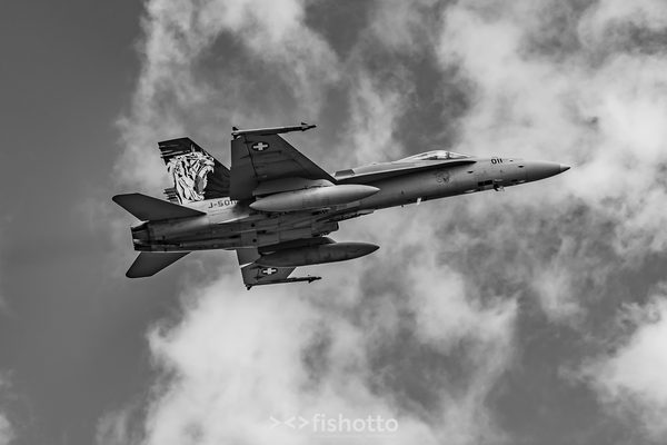 NTM21 Nato Tiger Meet B&W — foto 34