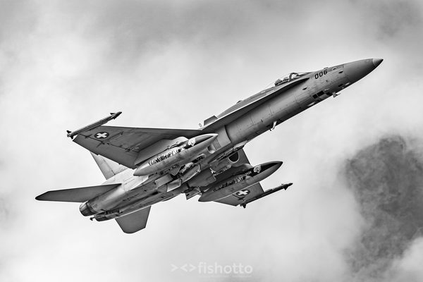 NTM21 Nato Tiger Meet B&W — foto 35