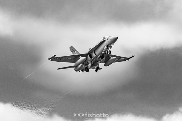 NTM21 Nato Tiger Meet B&W — foto 36