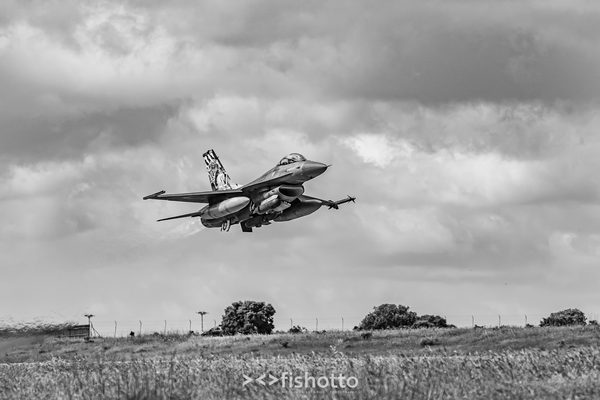 NTM21 Nato Tiger Meet B&W — foto 38