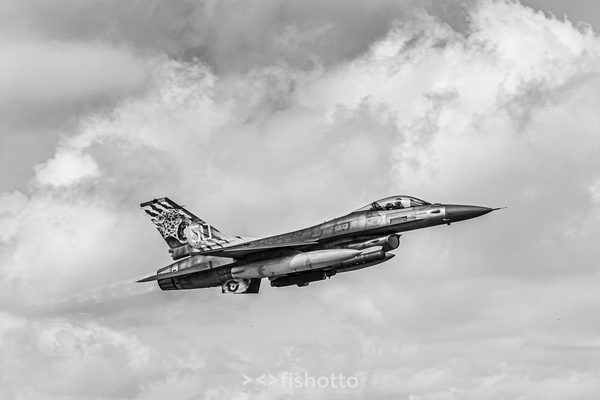 NTM21 Nato Tiger Meet B&W — foto 39