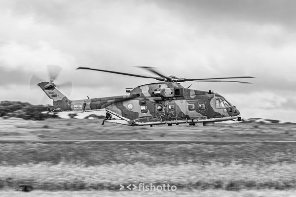 NTM21 Nato Tiger Meet B&W — foto 4