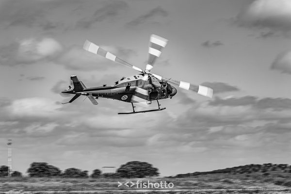 NTM21 Nato Tiger Meet B&W — foto 40