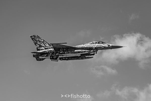 NTM21 Nato Tiger Meet B&W — foto 41
