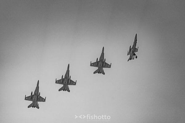 NTM21 Nato Tiger Meet B&W — foto 42