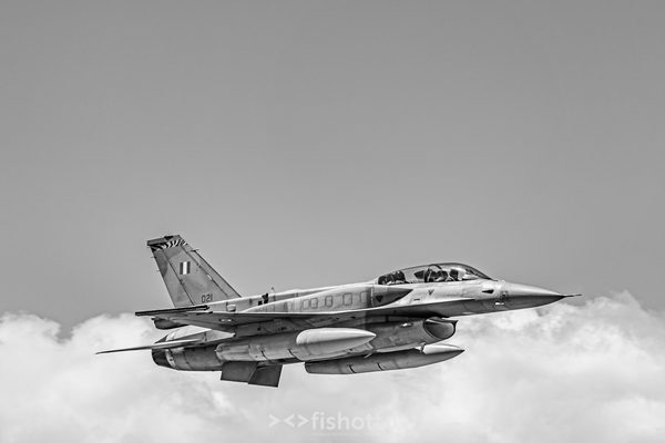NTM21 Nato Tiger Meet B&W — foto 43