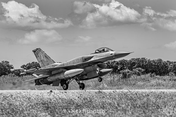 NTM21 Nato Tiger Meet B&W — foto 44