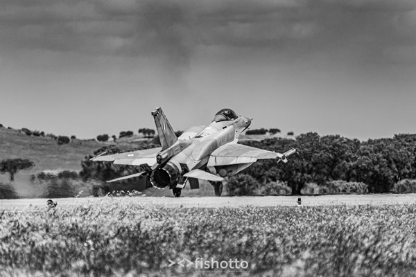 NTM21 Nato Tiger Meet B&W — foto 45