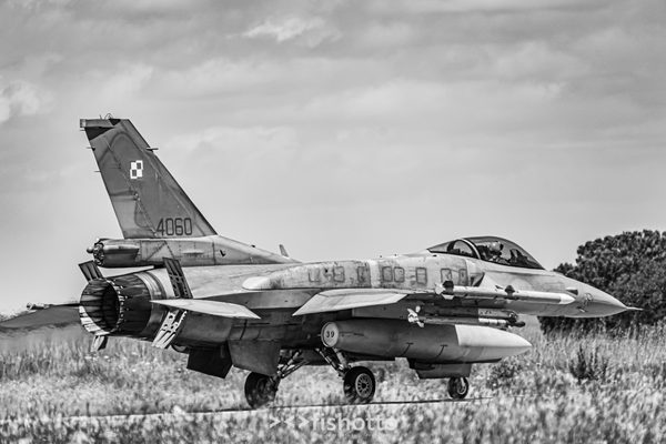 NTM21 Nato Tiger Meet B&W — foto 47