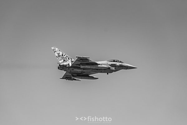 NTM21 Nato Tiger Meet B&W — foto 48