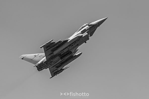 NTM21 Nato Tiger Meet B&W — foto 49