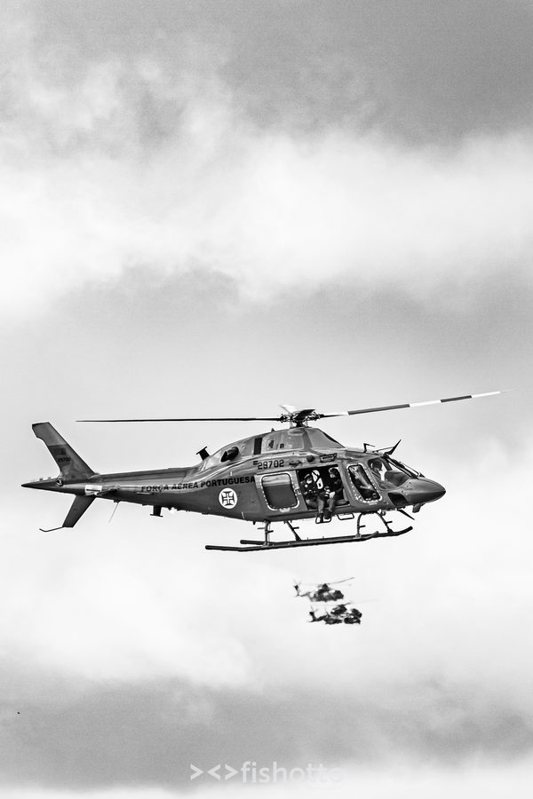 NTM21 Nato Tiger Meet B&W — foto 5