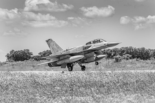 NTM21 Nato Tiger Meet B&W — foto 50