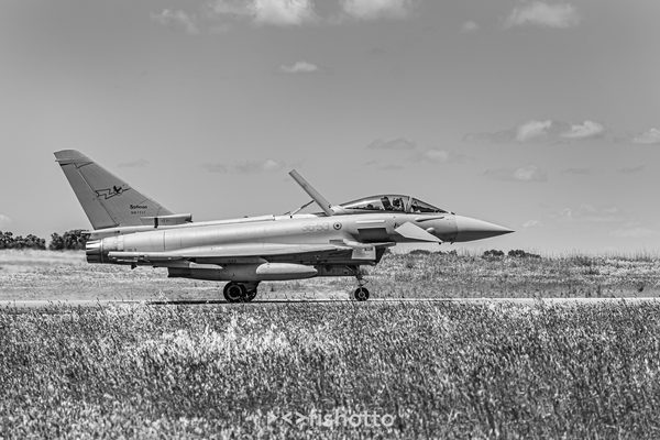 NTM21 Nato Tiger Meet B&W — foto 51