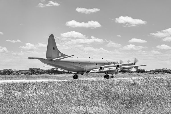 NTM21 Nato Tiger Meet B&W — foto 52