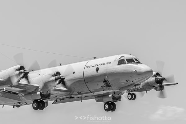 NTM21 Nato Tiger Meet B&W — foto 53