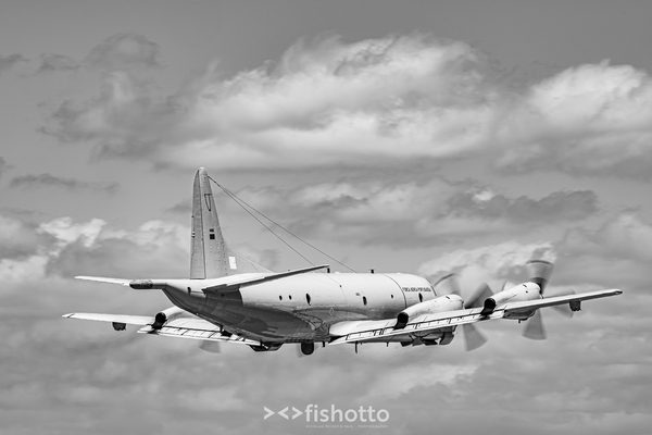 NTM21 Nato Tiger Meet B&W — foto 54