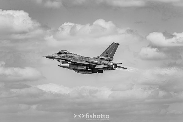 NTM21 Nato Tiger Meet B&W — foto 56