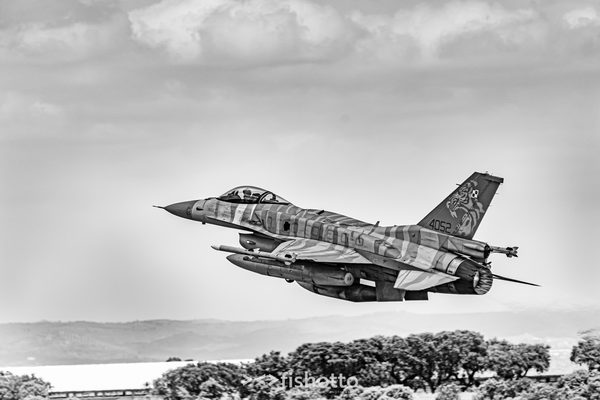 NTM21 Nato Tiger Meet B&W — foto 57