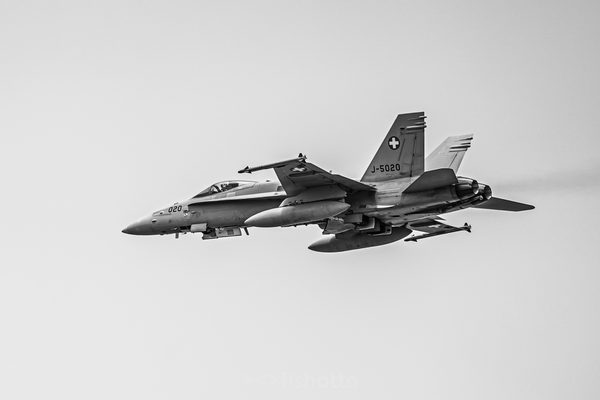 NTM21 Nato Tiger Meet B&W — foto 58