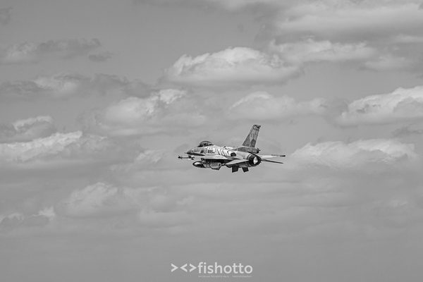 NTM21 Nato Tiger Meet B&W — foto 59