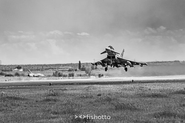 NTM21 Nato Tiger Meet B&W — foto 60