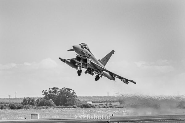 NTM21 Nato Tiger Meet B&W — foto 61