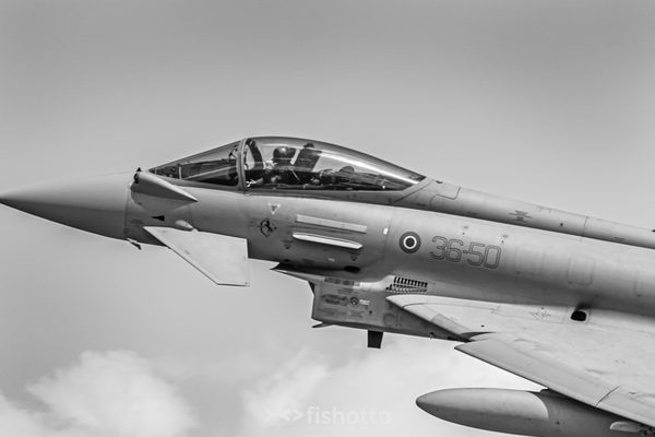 NTM21 Nato Tiger Meet B&W — foto 62