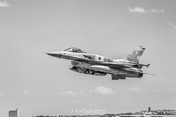 NTM21 Nato Tiger Meet B&W — foto 63