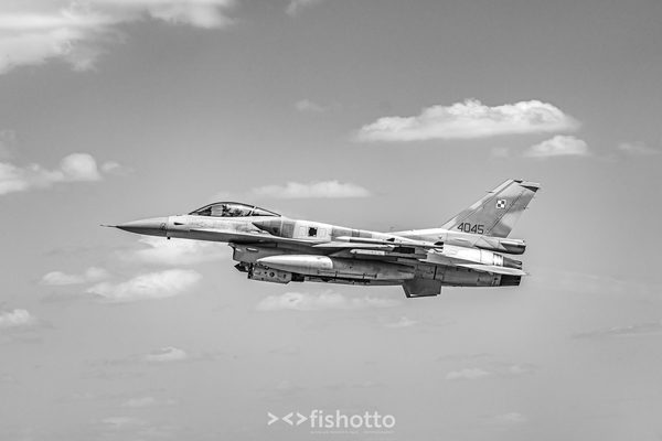 NTM21 Nato Tiger Meet B&W — foto 64