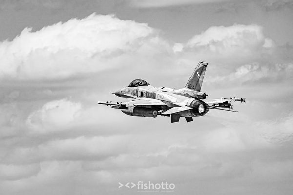 NTM21 Nato Tiger Meet B&W — foto 65