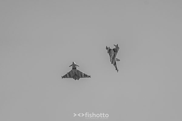 NTM21 Nato Tiger Meet B&W — foto 67