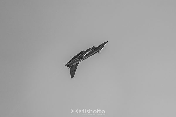 NTM21 Nato Tiger Meet B&W — foto 68