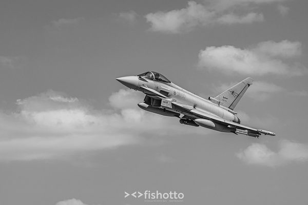 NTM21 Nato Tiger Meet B&W — foto 69