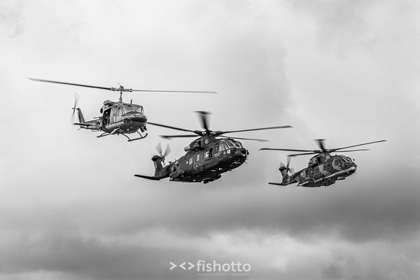 NTM21 Nato Tiger Meet B&W — foto 7