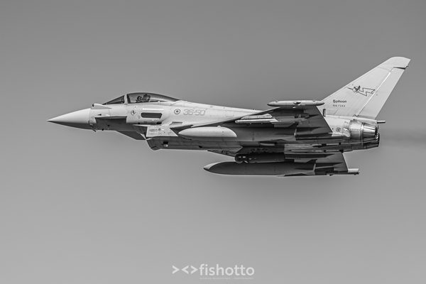 NTM21 Nato Tiger Meet B&W — foto 70