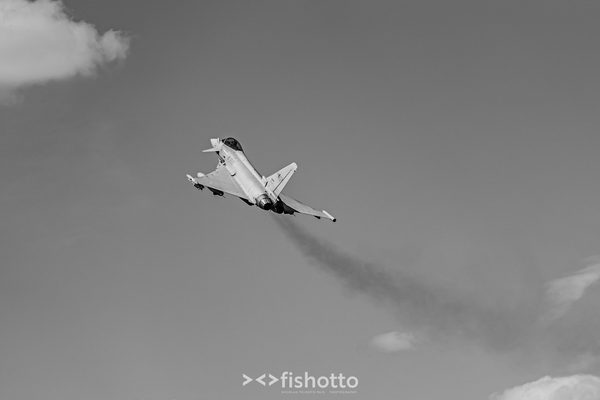 NTM21 Nato Tiger Meet B&W — foto 71