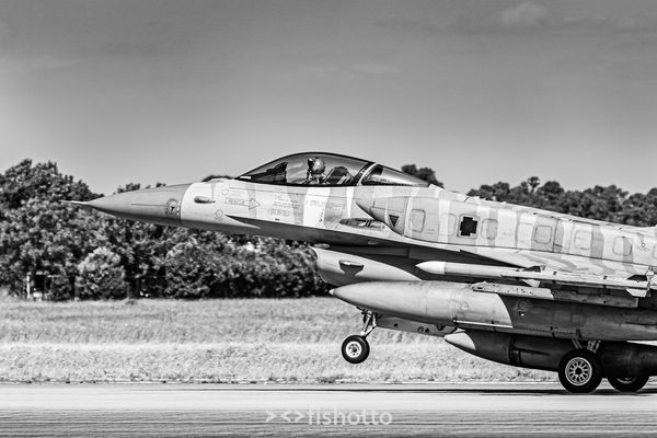 NTM21 Nato Tiger Meet B&W — foto 72
